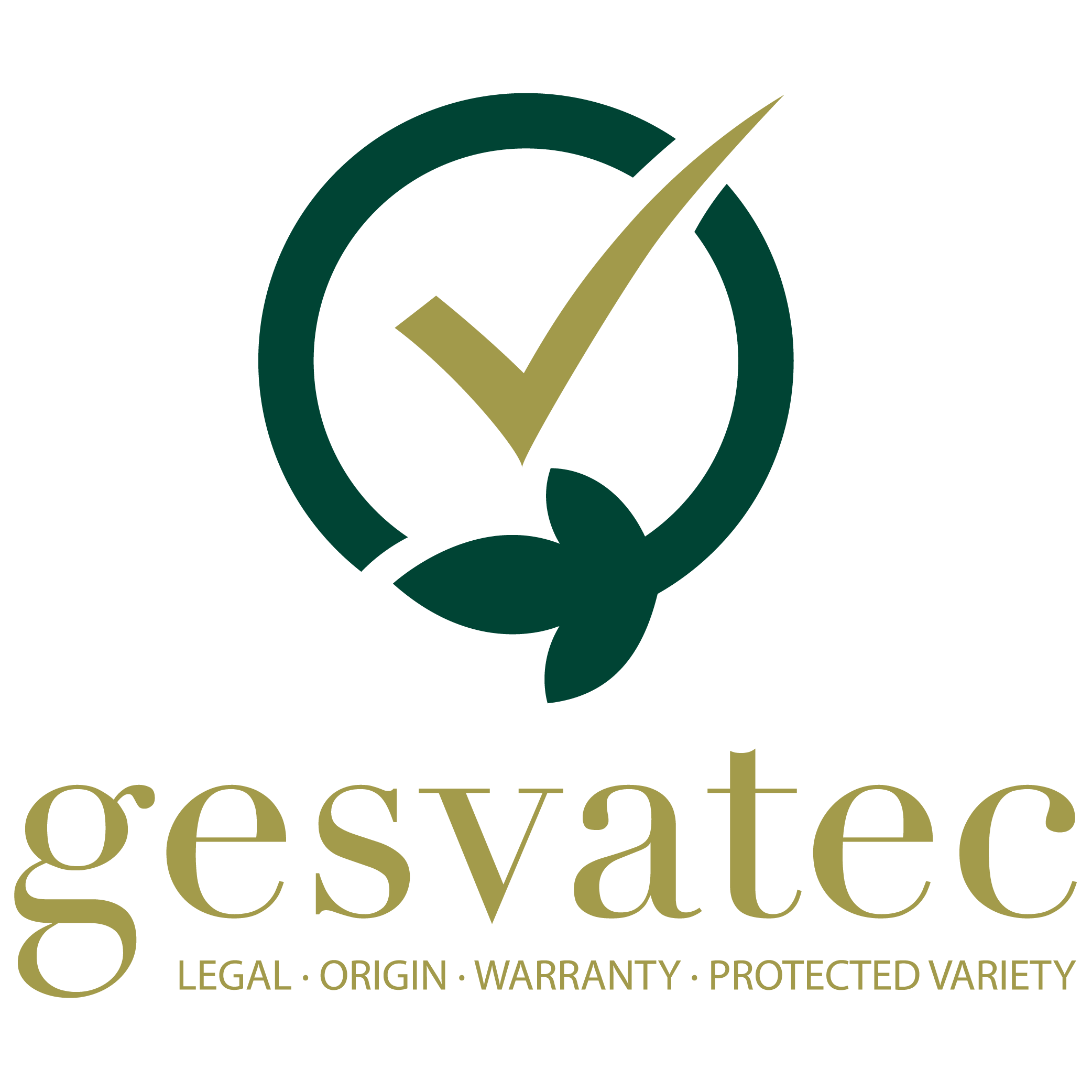 Gesvatec